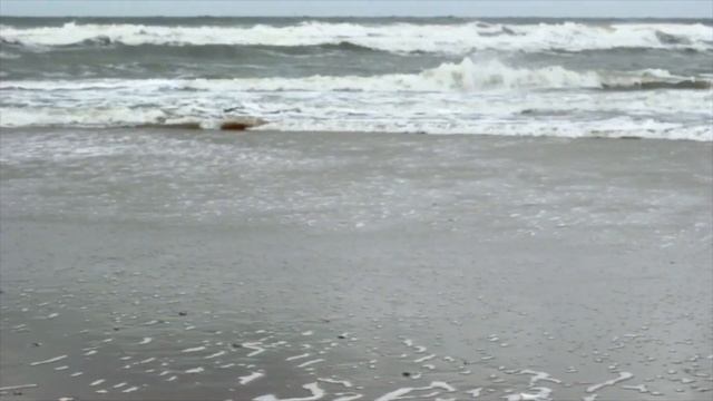 Как Поехать в Амстердам – Мое Путешествие В Голландию смотреть онлайн