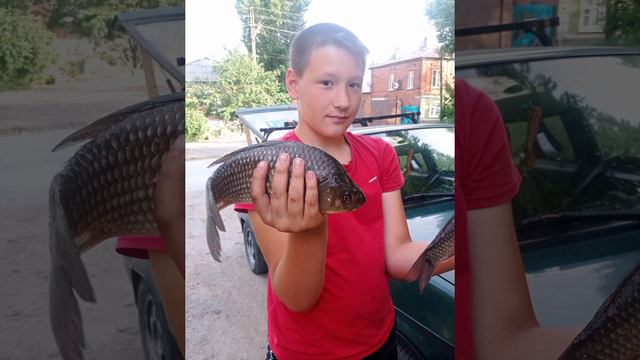 Донской рыбак!!!! смотреть онлайн