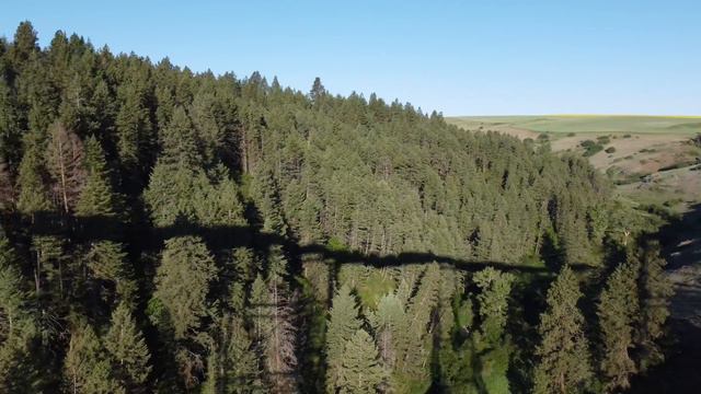 2021 Ride (210623): Day 4 - Lawyers Canyon #3 смотреть онлайн