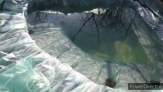 мини пруд своими руками