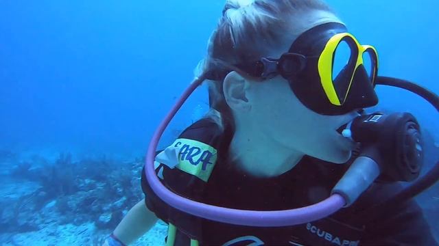 Scuba Diving Cancun Mexico | Isla Mujeres | MUSA Underwater Museum | Covid Travel смотреть онлайн