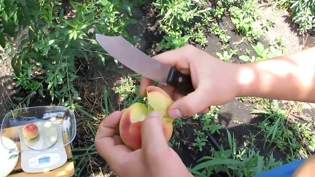 Персик Франт смотреть онлайн