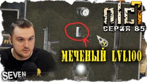 ЭВОЛЮЦИЯ МЕЧЕНОГО  ► S.T.A.L.K.E.R. NLC 7.  Серия 85