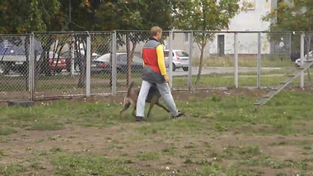 Бася_рядом. смотреть онлайн
