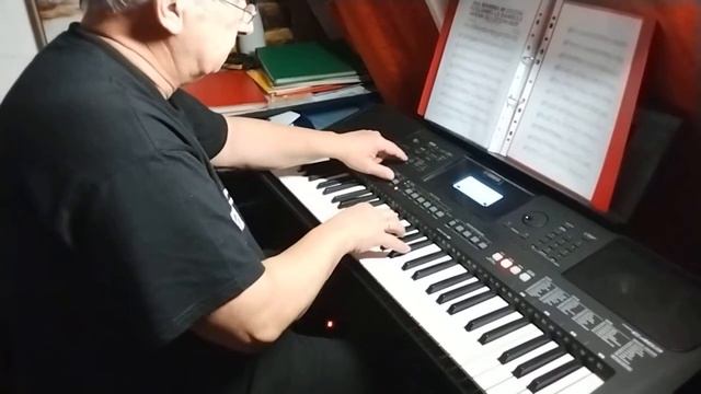 Seemann lass das träumen - auf Keyboard - Yamaha PSR - E463 - mit Wilfried S. смотреть онлайн