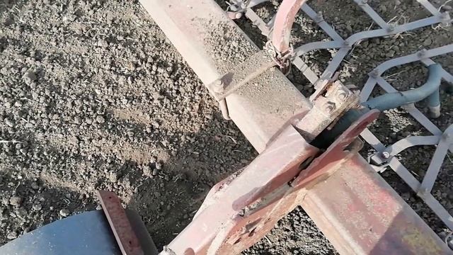Работаем боронами по посевам семечки. Боронование посевов.