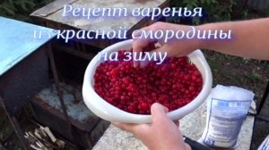 Рецепт варенья из красной смородины на зиму / Проверено временем