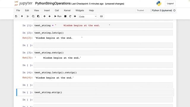 How to Use Python Strip Function to Remove Leading and Trailing Spaces from a String or Text смотреть онлайн