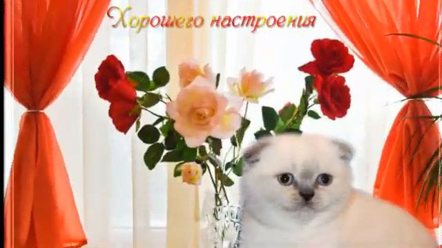 с днем рождения ларочка смотреть онлайн