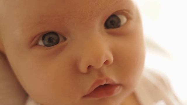 Signs of VIKING ANCESTRY You Shouldn't Ignore смотреть онлайн