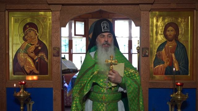 Прп. Серафим не хочет, чтобы мы превратились в черные головешки. Как этого избежать? смотреть онлайн
