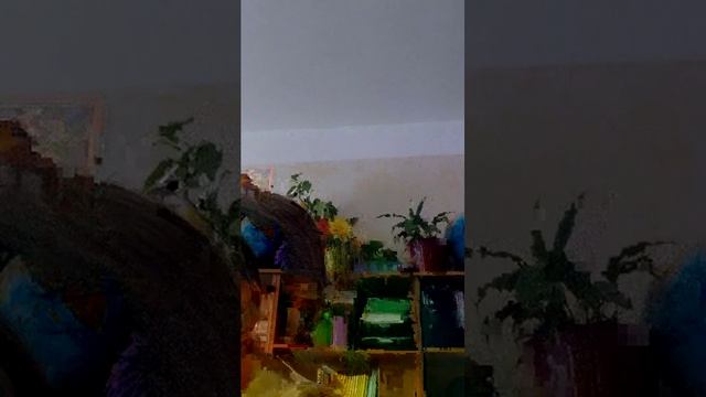 всем привет любимые мои смотреть онлайн