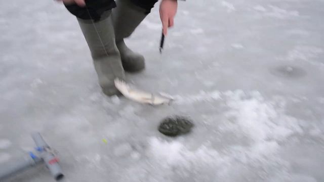 Три Пескаря ! смотреть онлайн