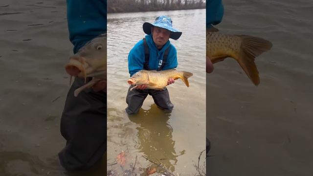 New fishing waders #8fans_official смотреть онлайн