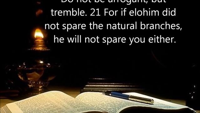 COMMANDS 03: Covenant, Commandments and the Grafted Olive Tree смотреть онлайн