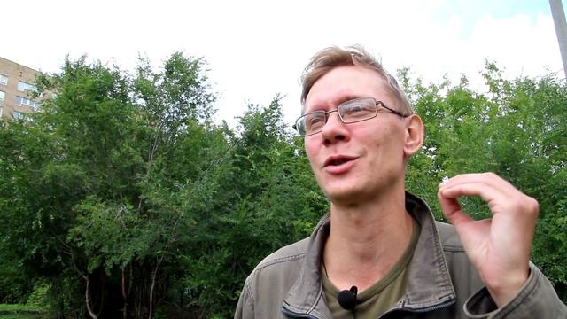 Николай Седов о поездке на Валаам | Остров Валаам | Валаамский монастырь Ладога смотреть онлайн