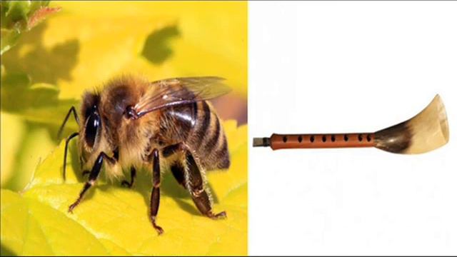 Зайчишка-трусишка смотреть онлайн