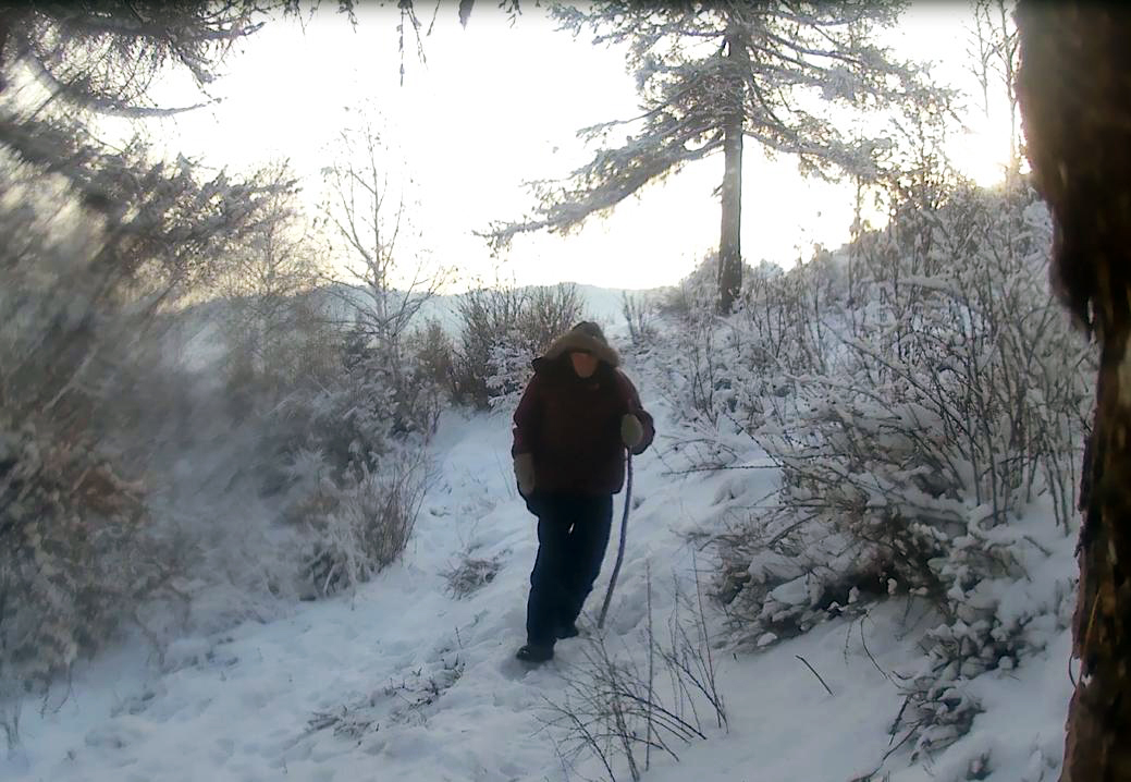 Зимняя прогулка по лесу. смотреть онлайн