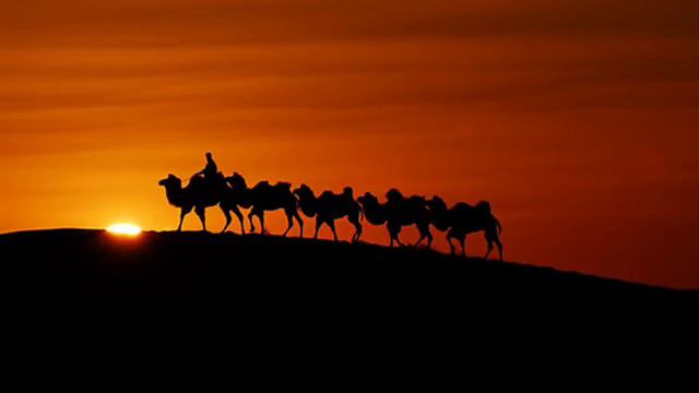 Ghuraba Nasheed Strangers Beautiful 2011