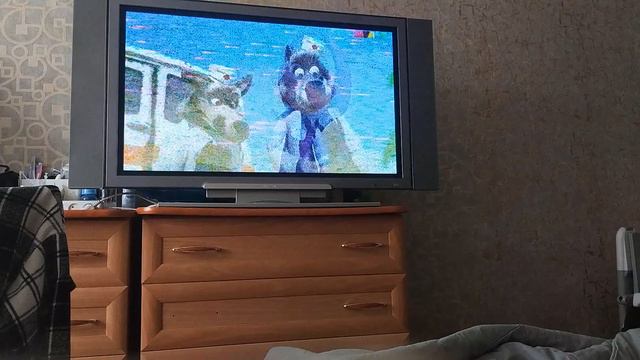 1000004738.mp4 смотреть онлайн