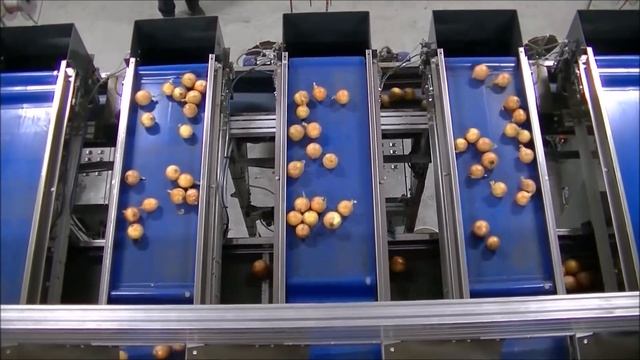 Onion System смотреть онлайн