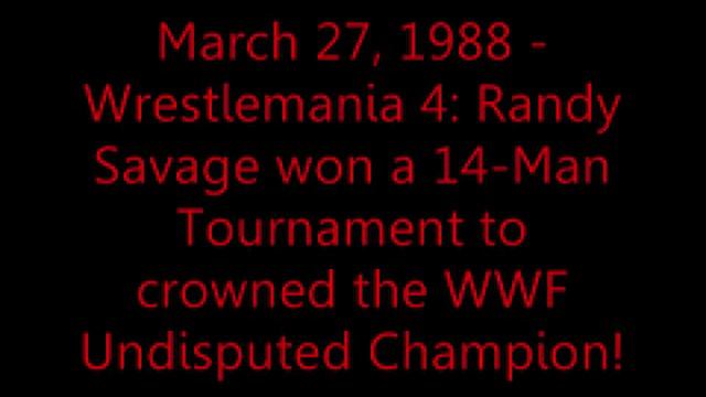 Tribute to Randy Savage смотреть онлайн