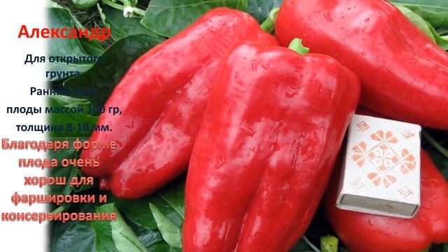 Новые сорта перца для подмосковья на 2020 год смотреть онлайн