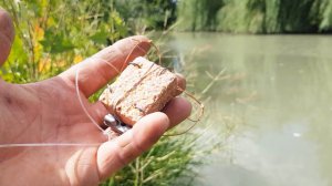 Ловили Сазана А Поймался Крупный Сом (на Макушатник)Рыбалка в Дагестане