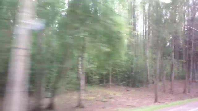 Леса в поселке Ушково под Петербургом - едем на автобусе №213 смотреть онлайн