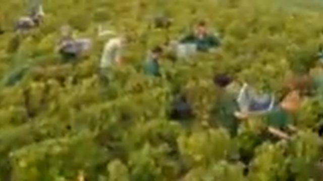 Nissan Leaf The Big Turn On - Owner's Manual смотреть онлайн