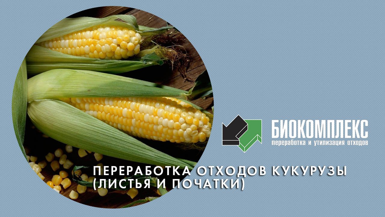 Переработка отходов кукурузы (листья и початки) смотреть онлайн