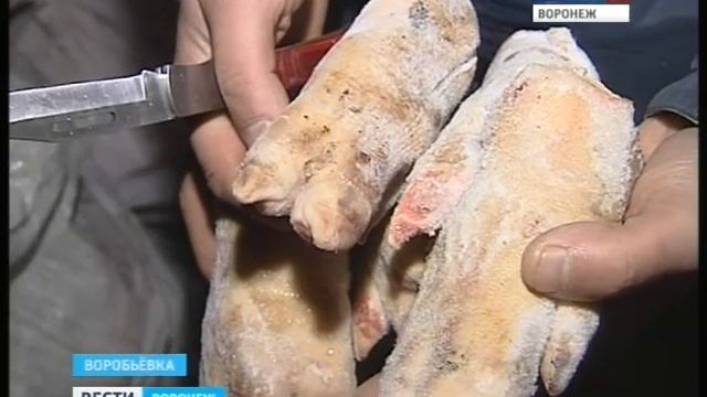 Опасные субпродукты не въехали в Воронеж смотреть онлайн