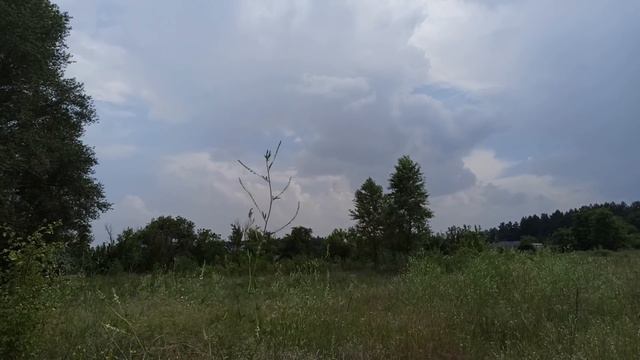 14 августа ПРАЗДНИК .МЕДОВЫЙ СПАС.МАКОВЕЙ. ПЕРВЫЙ СПАС. народные приметы и традиции смотреть онлайн