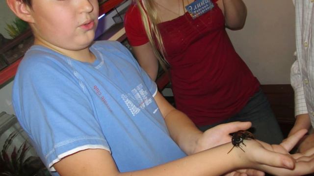 Дом бабочек смотреть онлайн