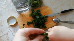 Приготовление лечебных настоек из Алоэ Веры