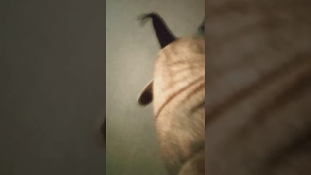 когда ждёшь очередь в душе игрушки блоп топ смотреть онлайн