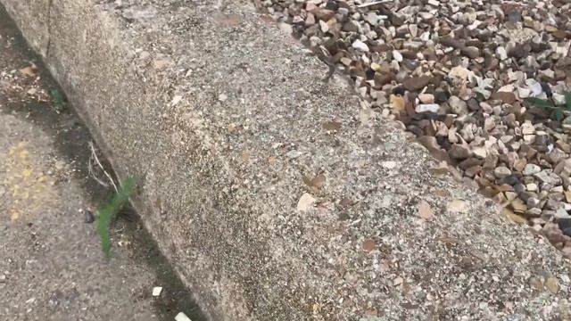 Боремся за зарплату + барбершоп в сша