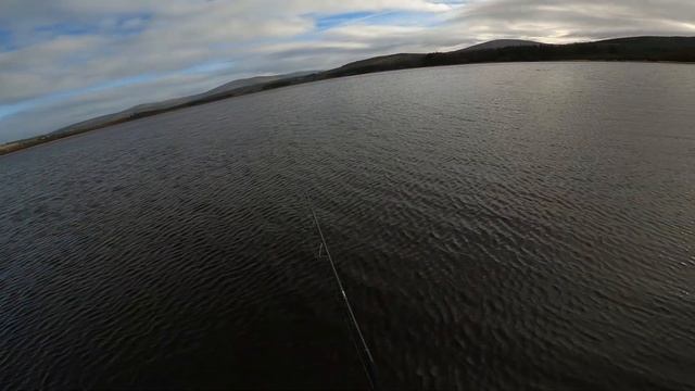 Sponge mouse | just fishing смотреть онлайн