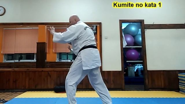 Ashihara karate kumite kata 1 смотреть онлайн