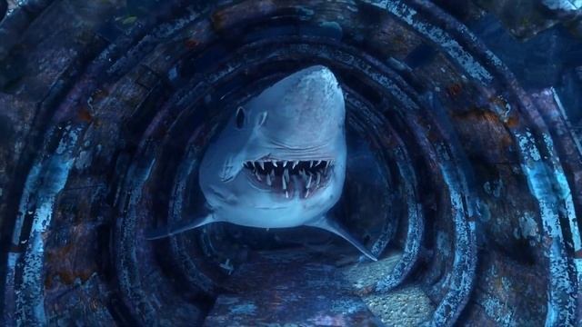 ТОП 5 ИГР ПРО АКУЛ смотреть онлайн