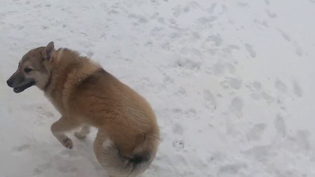 Пока каша варится смотреть онлайн