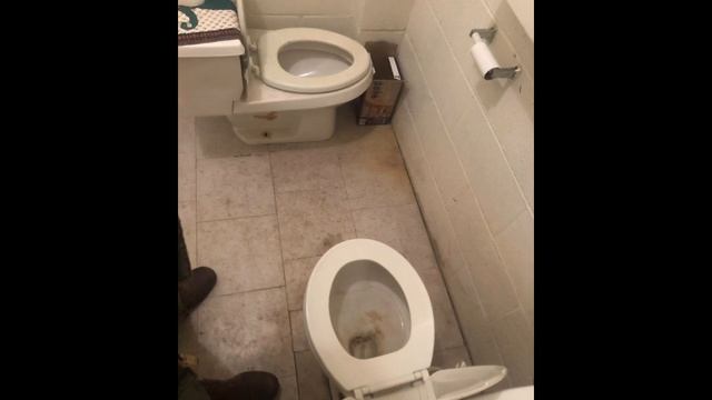 cursed toilets set to caves of qud golgotha ambience смотреть онлайн