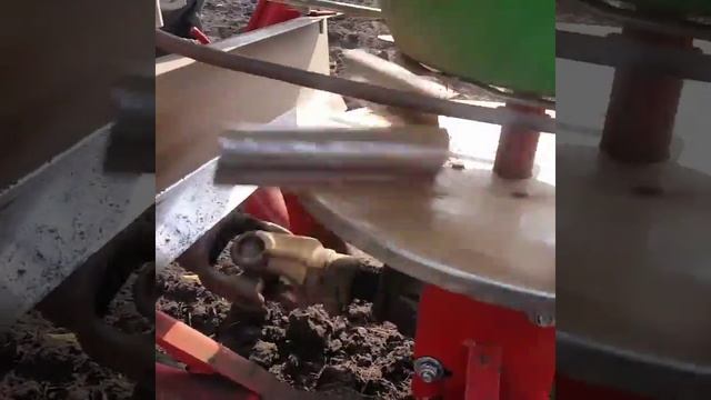 Механизированный посев фацелии.