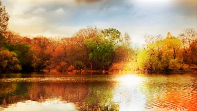 David Oistrakh Plays Mozart Violin Concerto No.4 In D Mov.1