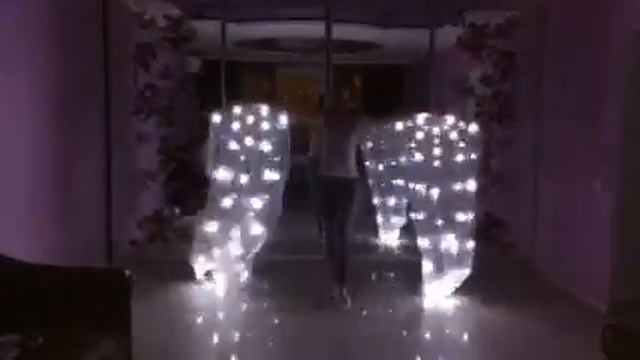 Пиксельные веера-Вейлы "Pass de Bleu-100pix" с новой программой эффектов смотреть онлайн