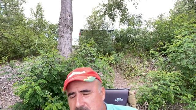 На заливе рыбка мелкая и вредная смотреть онлайн