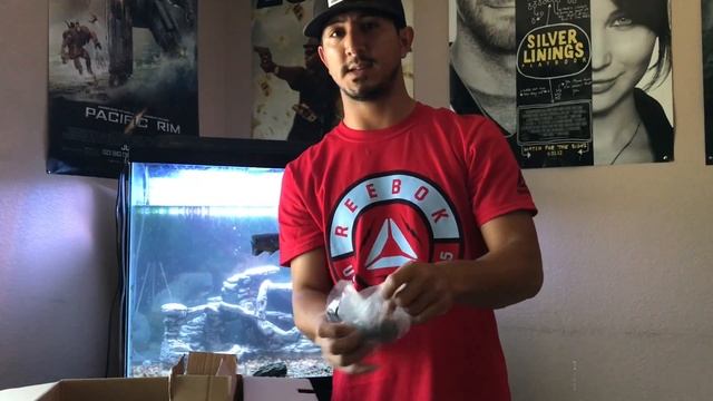 How fish react to water conditions | water change aquarium смотреть онлайн