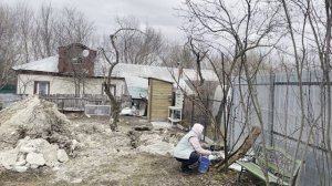 Первые работы в саду | Обработка деревьев