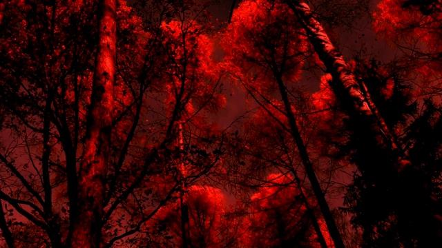 "Лекарство для души: слушай Псалтырь! Стихи 6/10: сила, радость, снять тревогу, бессонницу сглаз " смотреть онлайн