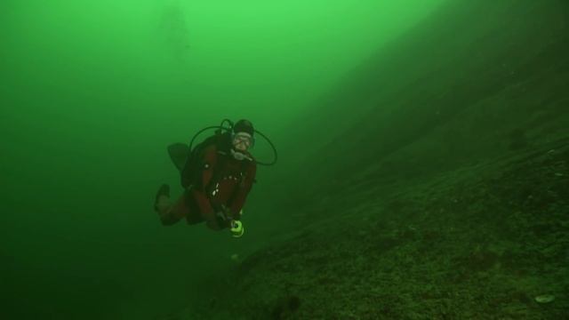 Diving With Sharks: Thrill Seeking Or Dangerous? | Shark Divers | Real Wild смотреть онлайн